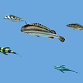 Five Colorful Tropical Fish With Various Colors And Stripes On Blue Background