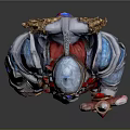 Man In Ornate Blue Red Costume With Scepter Red Gem White Beard And Armor