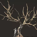 Tall Leafless Tree With Thick Trunk And Twisted Branches Beside Standing Small Statue Figure