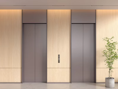Modern Elevator Lobby Interior With Wooden Panels Dark Gray Doors And Green Plant 3d model