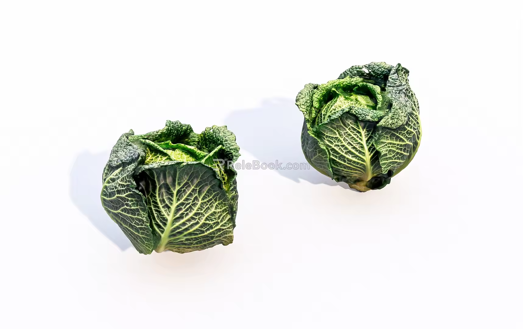 vegetable cabbage 3d model