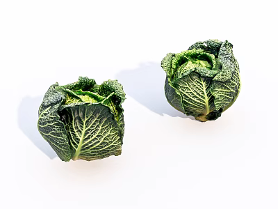 Two Fresh Green Cabbage Vegetables On White Background For Healthy Meals 3d model
