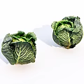 vegetable cabbage 3d model