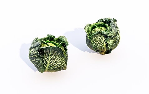 vegetable cabbage 3d model