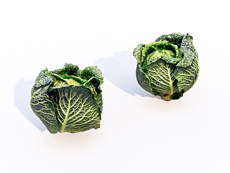 vegetable cabbage 3d model