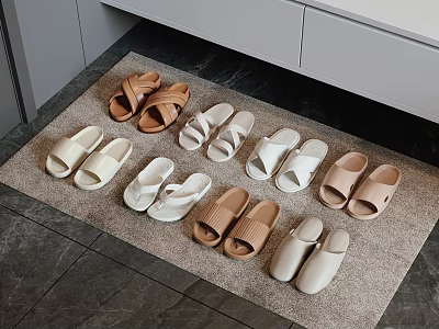 Soft Various Colored Slippers in Different Styles Arranged on Home Carpet 3d model