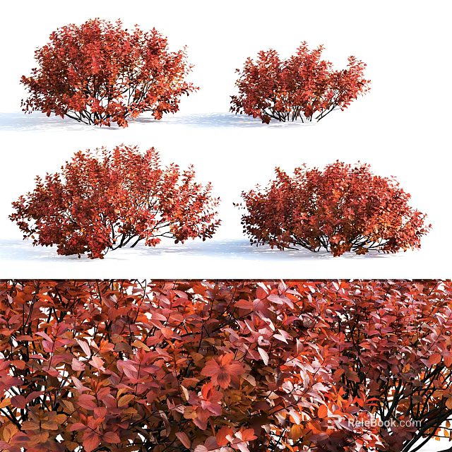 Vibrant Red Leaf Shrubs Enhancing Snowy Winter Landscape With Lush Foliage 3d model 