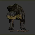 Detailed Realistic Dinosaur Model With Dark Green Yellow Body On Orange Base Against Grey Background