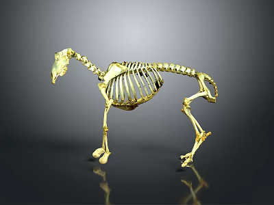 Detailed Golden Horse Skeleton Model With Reflective Surface On Dark Background 3d model