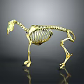 Detailed Golden Horse Skeleton Model With Reflective Surface On Dark Background