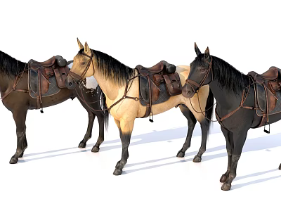 Three Horses With Leather Saddle Gear Standing In White Studio 3d model