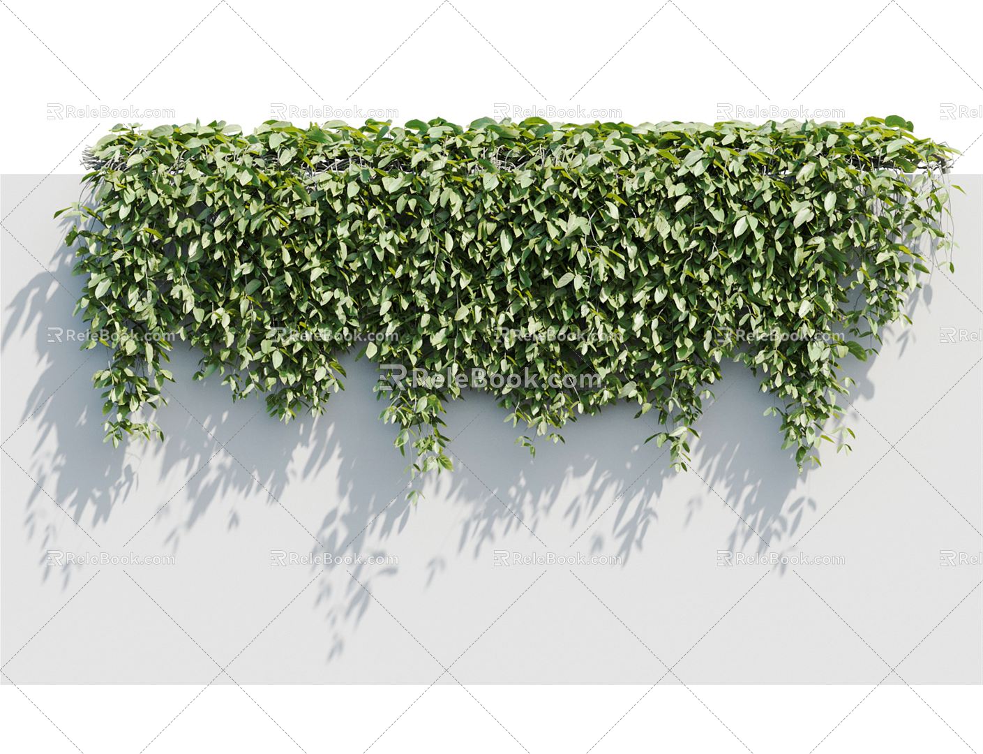 Modern Vine Vine Plant 3d model