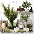 Decorative Ornament Combination With Green Plants Glass Vases Vintage Clock And Books