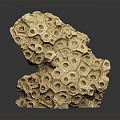 Modern Coral Wrinkle Coral Reef Rocks 3d model