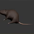 3D Modeled Brown Rat Character With Rounded Body Pink Nose And Claws