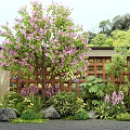 Garden Plant Combination With Pink Flowering Tree Green Shrubs Wooden Lattice Fence And Stones