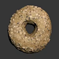Freshly Baked Seeded Bagel Topped With Sesame Oat Poppy Seeds And Golden Crusty Exterior