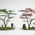 Red maple landscape tree courtyard sketch red maple chicken claw maple stone 3d model