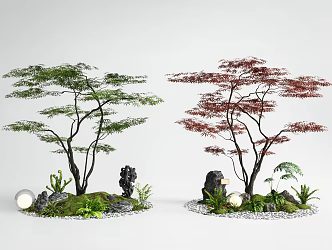 Red maple landscape tree courtyard sketch red maple chicken claw maple stone 3d model