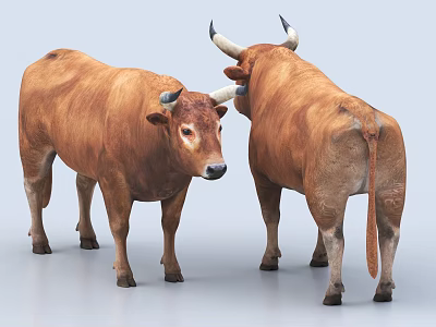 cattle buffalo milk cow 3d model