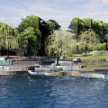 Waterfront Landscape with Terraced Design Willow Trees and Green Lawns Near Water Body
