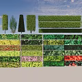 Diverse Garden Plant Combinations With Trees Shrubs Green Foliage And Colorful Blooms