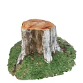 Decorative Ornament Set With Tree Stump Base And Green Moss Natural Rustic Home Decoration