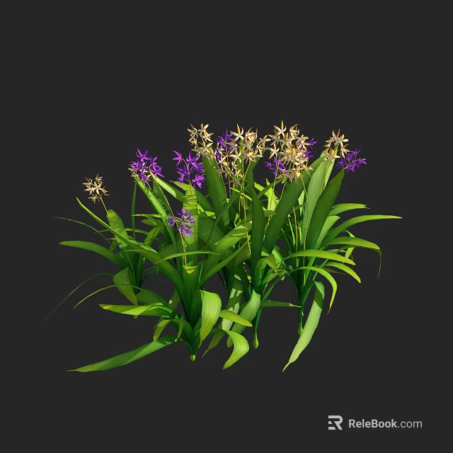 Beautiful Flowers and Plants with Purple and White Blooms and Long Green Leaves 3d model 