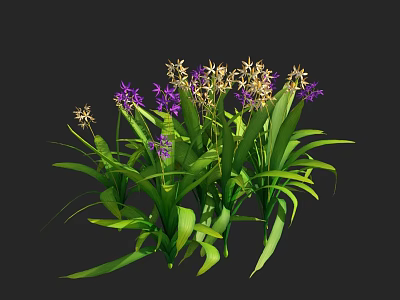Beautiful Flowers and Plants with Purple and White Blooms and Long Green Leaves 3d model