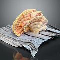 Vibrant Yellow Orange Ganoderma Plant With Fan Shaped Caps On Wooden Plank Against Dark Background