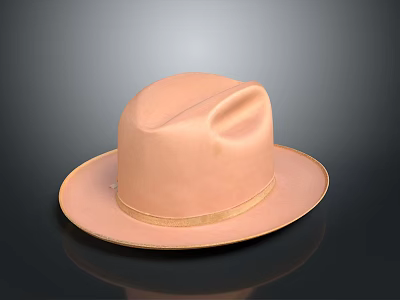 Peach Colored Wide Brimmed Hat Classic Design Soft Texture Stylish Accessory For Casual Wear 3d model
