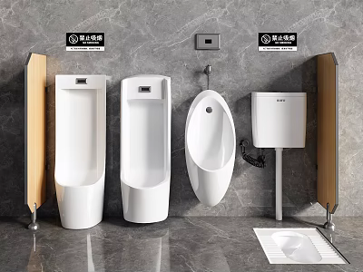 Different Styles Of Urinals In Public Restroom Setup 3d model
