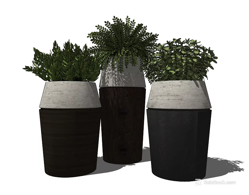 Modern Bonsai Potted Plants With Lush Green Foliage In Wooden Concrete Pots 3d model 