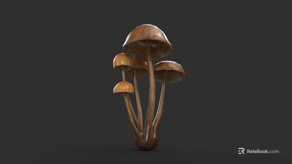 Botanical Art Featuring 3D Rendered Brown Mushrooms With Multiple Caps On Dark Gray Background 3d model 