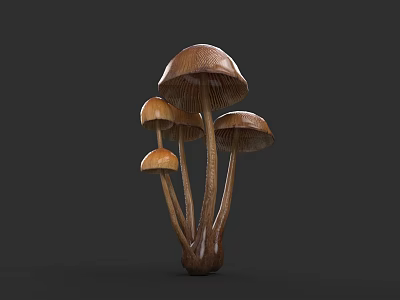 Botanical Art Featuring 3D Rendered Brown Mushrooms With Multiple Caps On Dark Gray Background 3d model