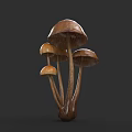 Botanical Art Featuring 3D Rendered Brown Mushrooms With Multiple Caps On Dark Gray Background
