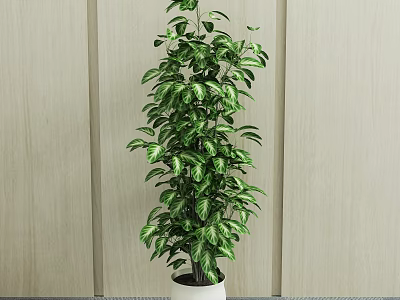 modern potted plant green plant 3d model