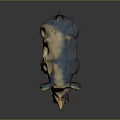 Realistic 3D Rhinoceros Model With Detailed Horn And Textured Skin Features