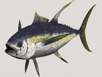Vibrant Blue Yellow And Silver Tuna Fish With Distinctive Fins And Sleek Body 3d model