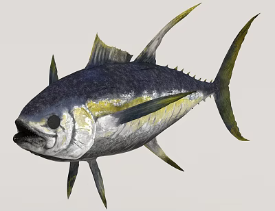 Vibrant Blue Yellow And Silver Tuna Fish With Distinctive Fins And Sleek Body 3d model