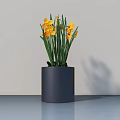 Minimalist Bonsai Plant in Black Cylindrical Pot with Yellow Flowers and Green Stems on Tabletop
