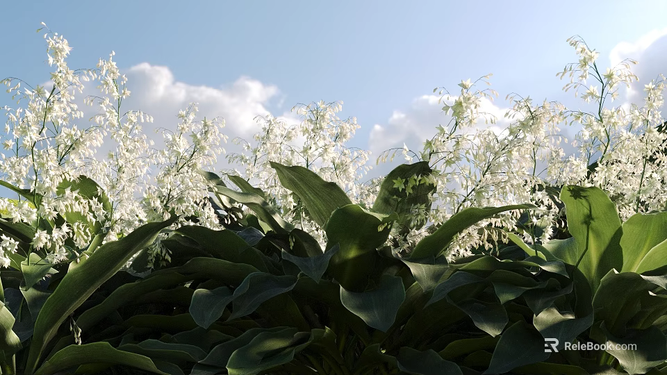 Lush Green Leaves And White Flowers Against Blue Sky With White Clouds 3d model 