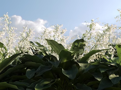 Lush Green Leaves And White Flowers Against Blue Sky With White Clouds 3d model