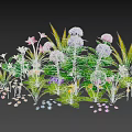 Vibrant Mixed Flowers And Green Plants With Purple Pink White Yellow Blooms And Leaves