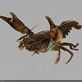 Vibrant Freshwater Crayfish Displaying Claws And Segmented Body On Dark Background