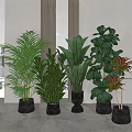 Various Types of Indoor Potted Plants in Gray Pots with Window and Gray Wall