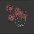 Purple Dandelion Like Plant With Multiple Flowers Curved Stems And Support Structure Against Dark Background