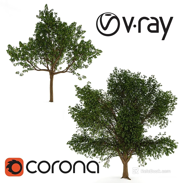 Tree Pit Design With Lush Green Trees And Natural Outdoor Elements 3d model 