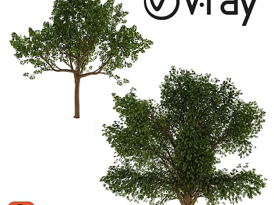 Tree Pit Design With Lush Green Trees And Natural Outdoor Elements 3d model