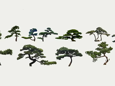 Various Shaped Ornamental Trees With Green Foliage And Unique Forms 3d model